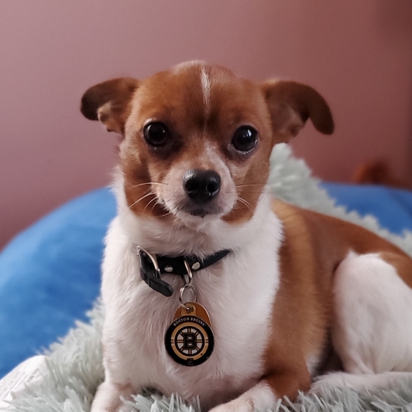 Meet your Posher, Katie - Picture 2 of 2